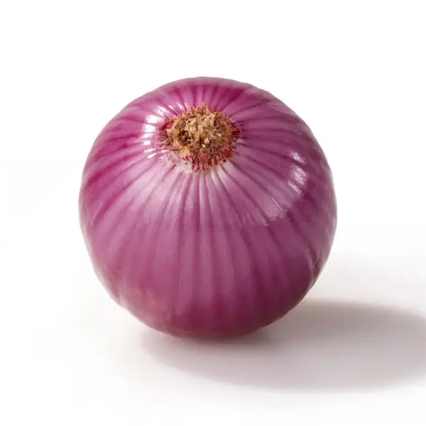 Second image of Purple Onion