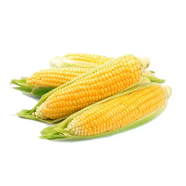 Second image of Roasted Corn