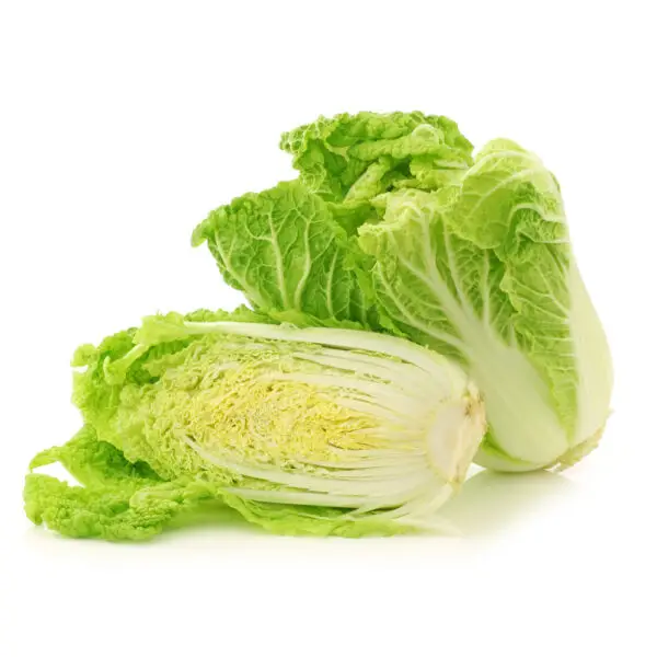 Second image of Napa Cabbage