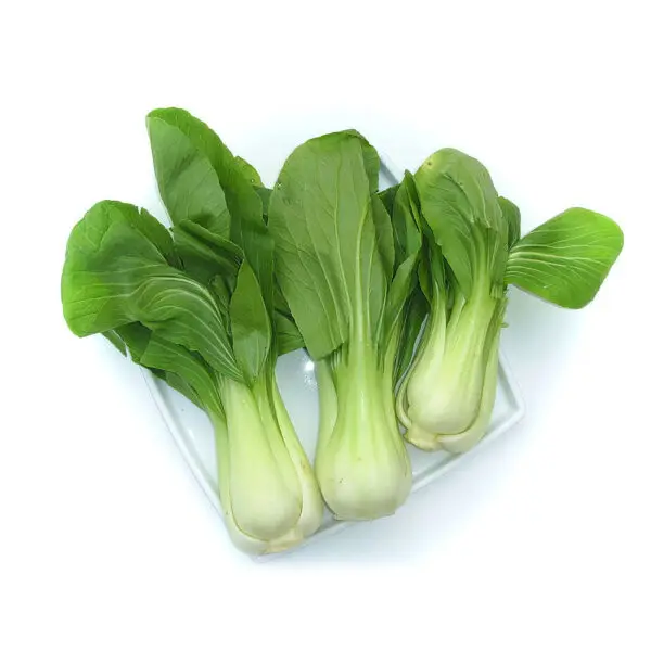 Second image of Cabbage Bok Choy