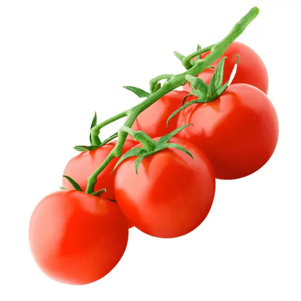 Second image of Cherry Tomato