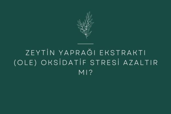 Zeytin Yaprağı Ekstraktı (OLE) Oksidatif Stresi Azaltır mı?