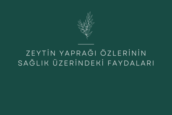 Zeytin Yaprağı Özlerinin Sağlık Üzerindeki Faydaları