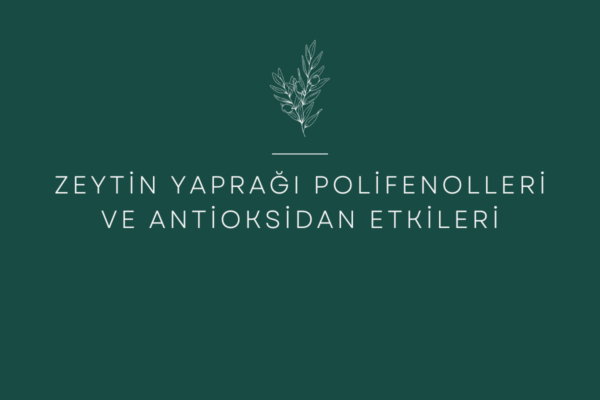 Zeytin Yaprağı Polifenolleri ve Antioksidan Etkileri