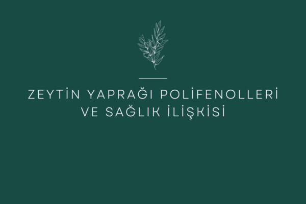 Zeytin Yaprağı Polifenolleri ve Sağlık İlişkisi