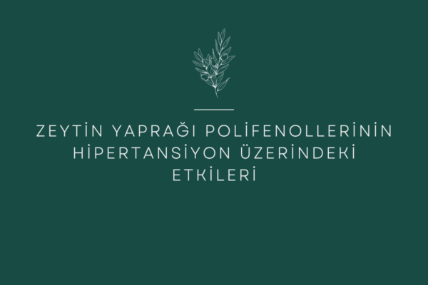 Zeytin Yaprağı Polifenollerinin Hipertansiyon Üzerindeki Etkileri