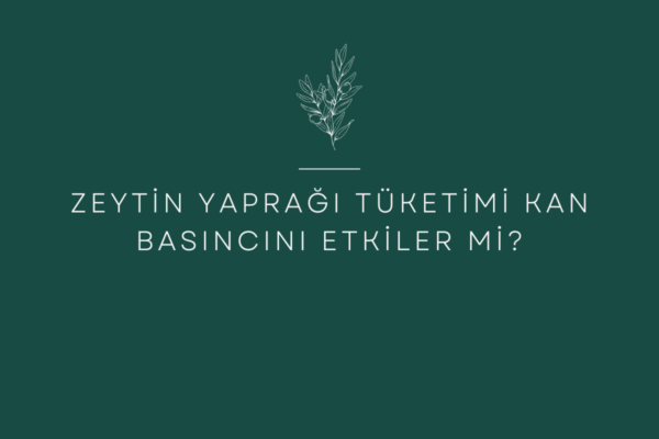 Zeytin Yaprağı Tüketimi Kan Basıncını Etkiler mi?